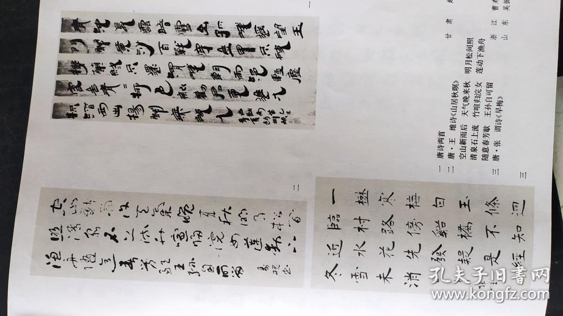 贸易代理业的成功之道:案例分析
