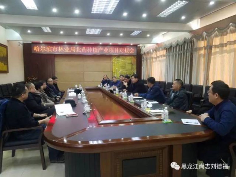 如何选择适合的綦原通产品？